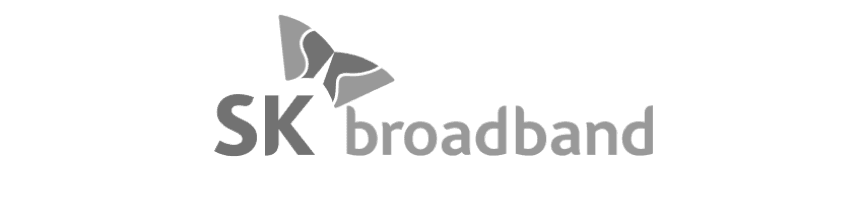 SK broadband